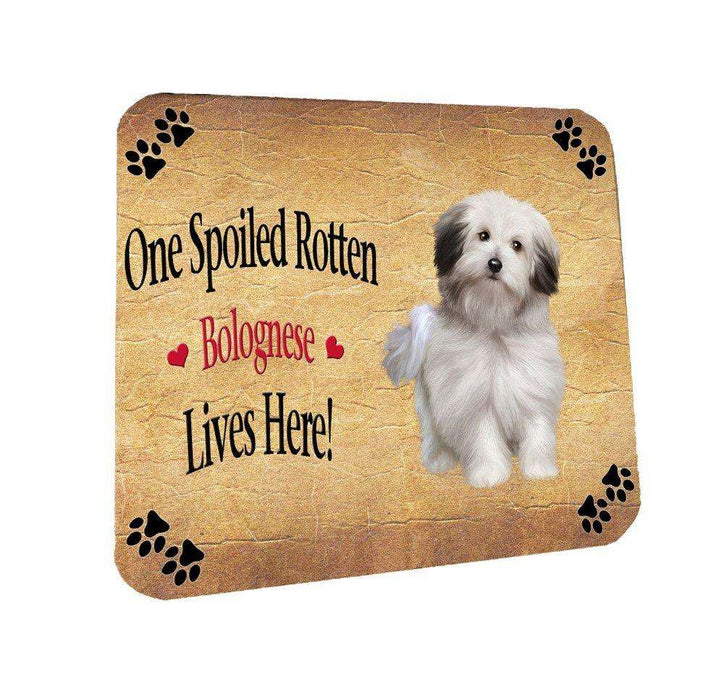 Bolognese Spoiled Rotten Dog Coasters Set of 4