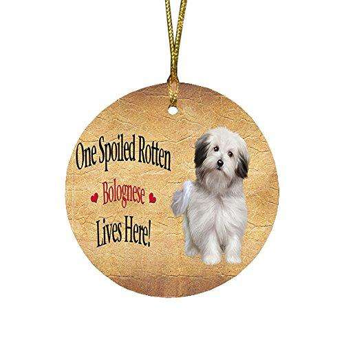 Bolognese Spoiled Rotten Dog Round Christmas Ornament