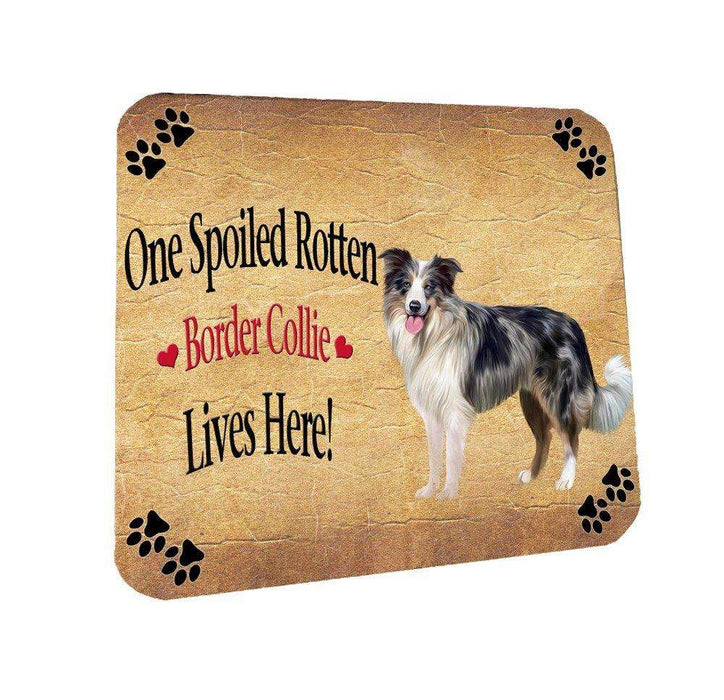Border Collie Blue Merle Spoiled Rotten Dog Coasters Set of 4