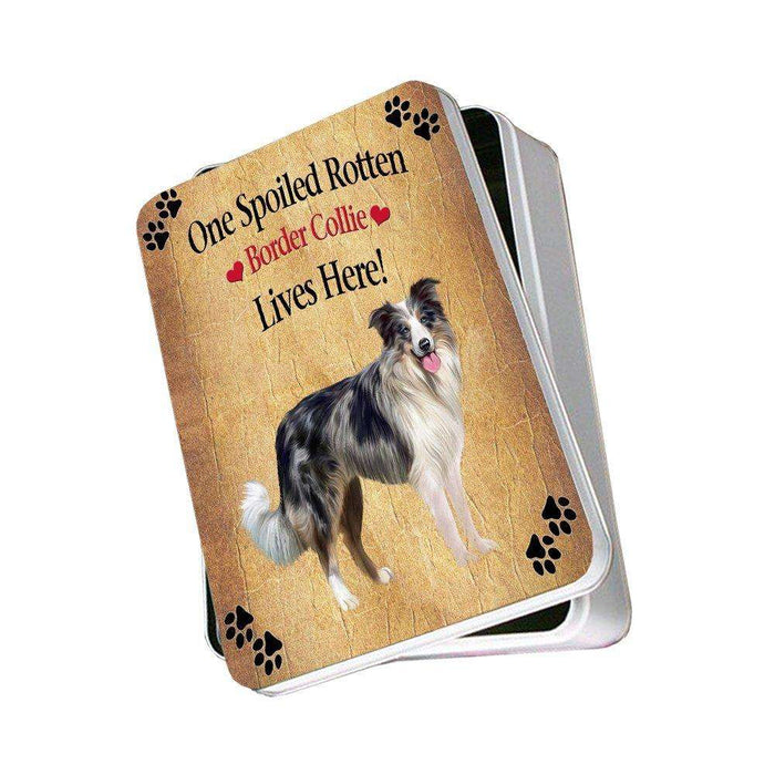 Border Collie Blue Merle Spoiled Rotten Dog Photo Storage Tin