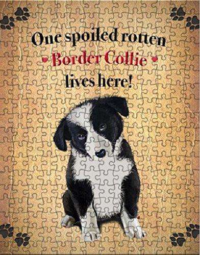 Border Collie Portrait Spoiled Rotten Dog Puzzle with Photo Tin