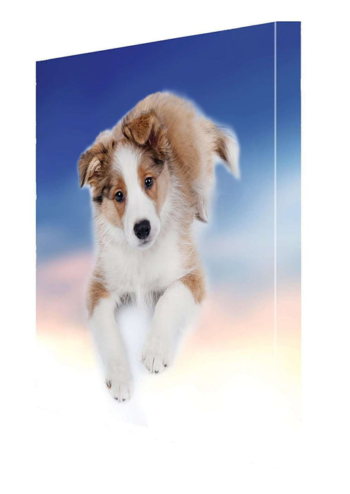 Border Collie Puppy Dog Canvas