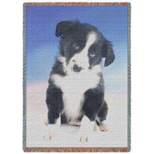 Border Collie Puppy Dog Woven Throw Blanket 54 x 38