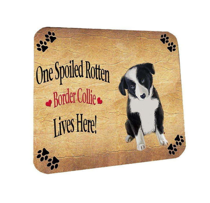 Border Collie Puppy Spoiled Rotten Dog Coasters Set of 4