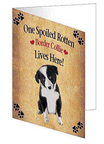 Border Collie Puppy Spoiled Rotten Dog Handmade Artwork Assorted Pets Greeting Cards and Note Cards with Envelopes for All Occasions and Holiday Seasons
