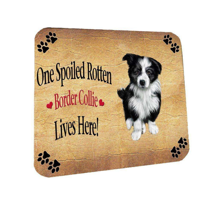 Border Collie Spoiled Rotten Dog Coasters Set of 4