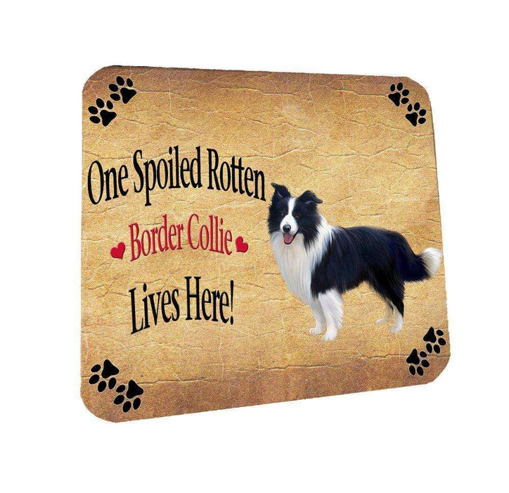 Border Collie Spoiled Rotten Dog Coasters Set of 4