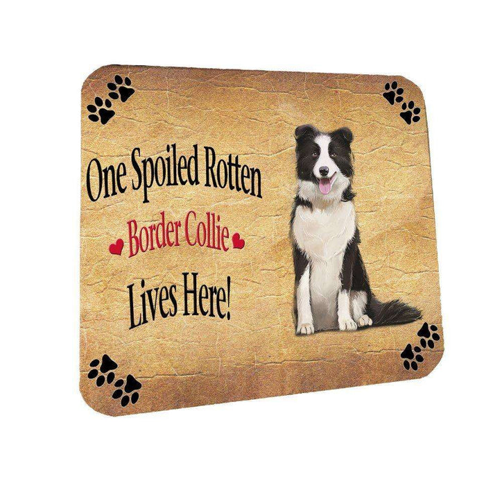 Border Collie Spoiled Rotten Dog Coasters Set of 4