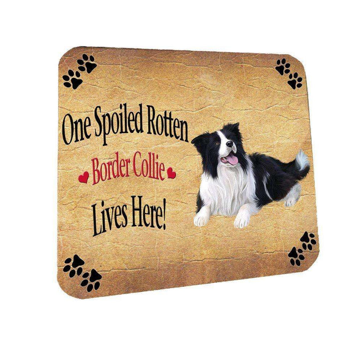 Border Collie Spoiled Rotten Dog Coasters Set of 4