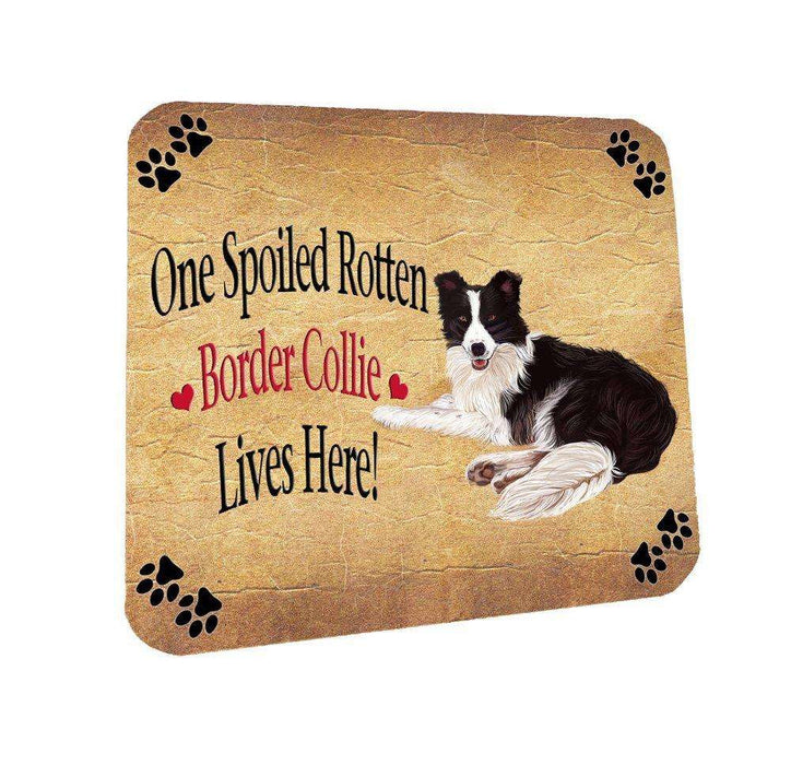 Border Collie Spoiled Rotten Dog Coasters Set of 4