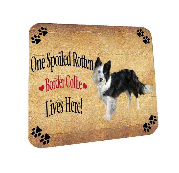 Border Collie Spoiled Rotten Dog Coasters Set of 4