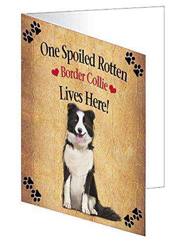 Border Collie Spoiled Rotten Dog Handmade Artwork Assorted Pets Greeting Cards and Note Cards with Envelopes for All Occasions and Holiday Seasons