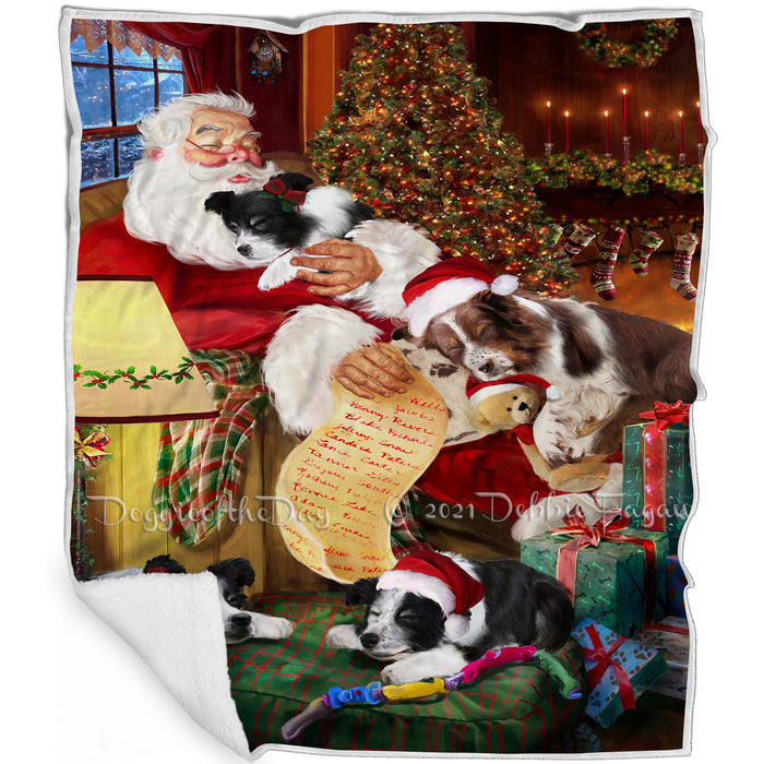Border Collie Dog and Puppies Sleeping with Santa Blanket