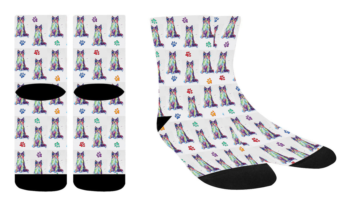 Watercolor Border Collie Dogs Women's Socks