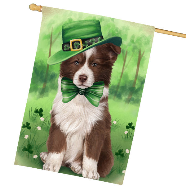 St. Patrick's Day Border Collie Dog House Flag Outdoor Decorative Double Sided Pet Portrait Weather Resistant Premium Quality Animal Printed Home Decorative Flags 100% Polyester FLG69708