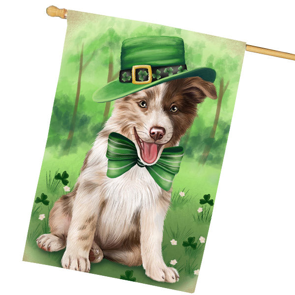 St. Patrick's Day Border Collie Dog House Flag Outdoor Decorative Double Sided Pet Portrait Weather Resistant Premium Quality Animal Printed Home Decorative Flags 100% Polyester FLG69709