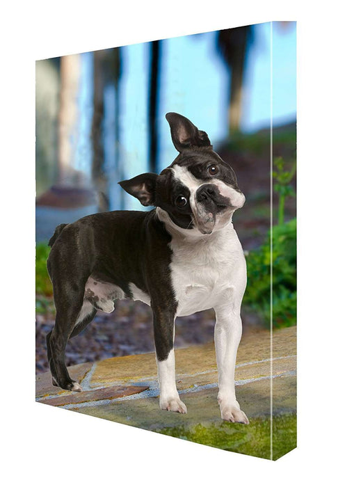 Boston Terrier Canvas 18 x 24