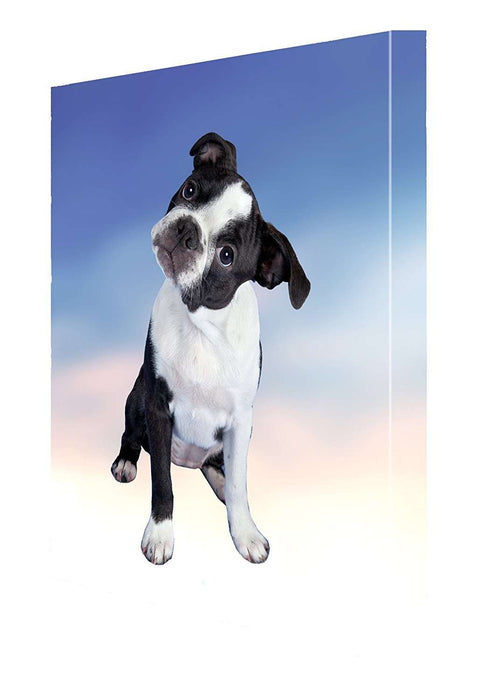 Boston Terrier Puppy Dog Canvas
