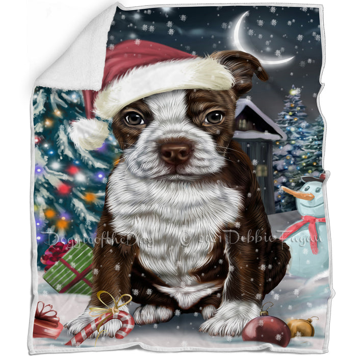 Have a Holly Jolly Christmas Boston Terrier Dog in Holiday Background Blanket D054