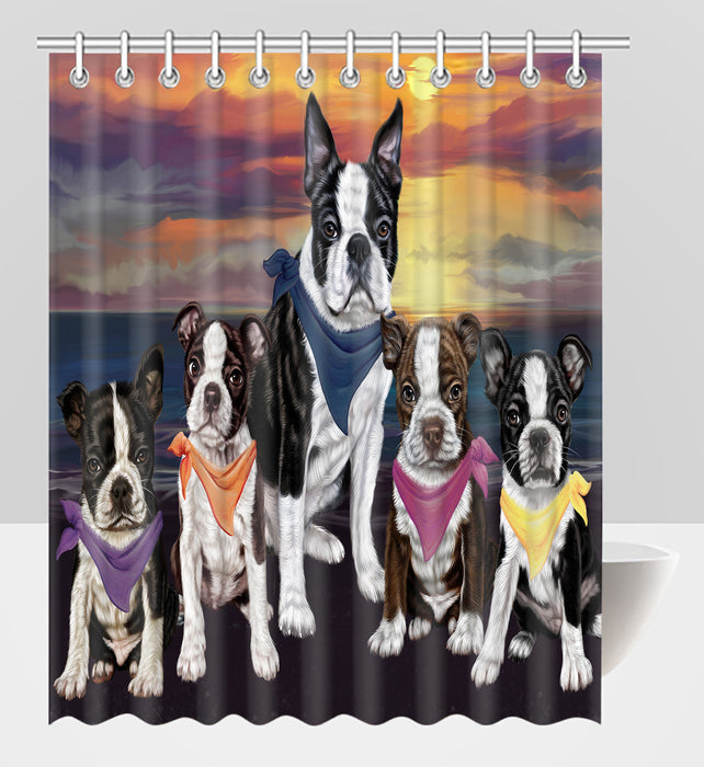 Family Sunset Portrait Boston Terrier Dogs Shower Curtain