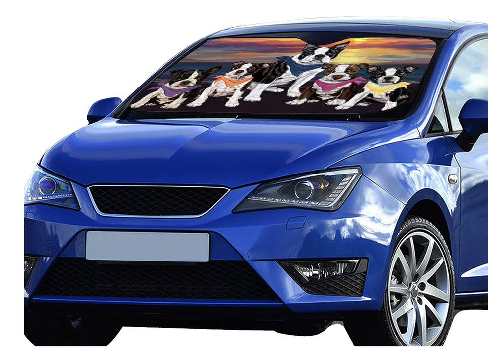 Family Sunset Portrait Boston Terrier Dogs Car Sun Shade