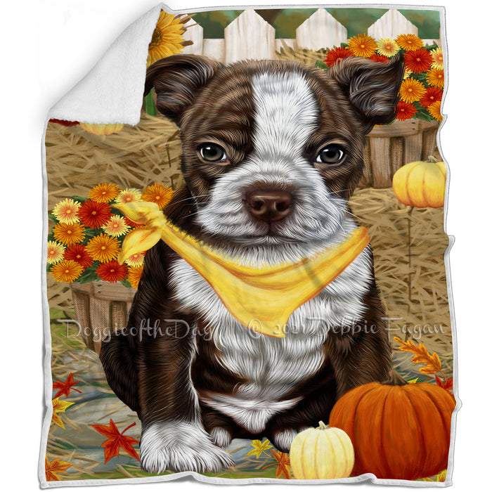 Fall Autumn Greeting Boston Terrier Dog with Pumpkins Blanket BLNKT72363