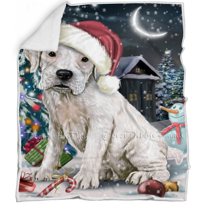 Have a Holly Jolly Christmas Boxer Dog in Holiday Background Blanket D057