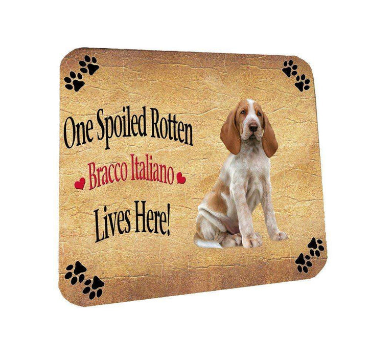 Bracco Italiano Puppy Spoiled Rotten Dog Coasters Set of 4