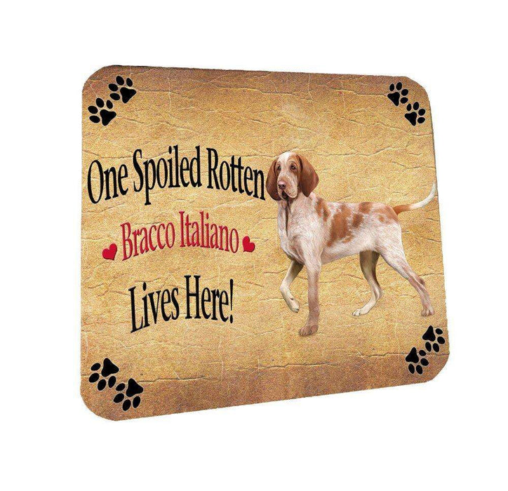 Bracco Italiano Spoiled Rotten Dog Coasters Set of 4