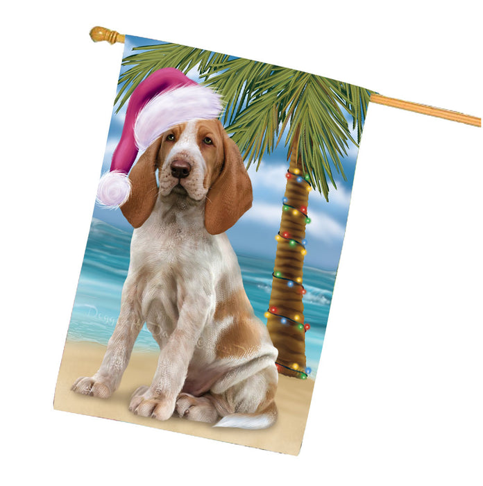 Christmas Summertime Beach Bracco Italiano Dog House Flag Outdoor Decorative Double Sided Pet Portrait Weather Resistant Premium Quality Animal Printed Home Decorative Flags 100% Polyester FLG68699