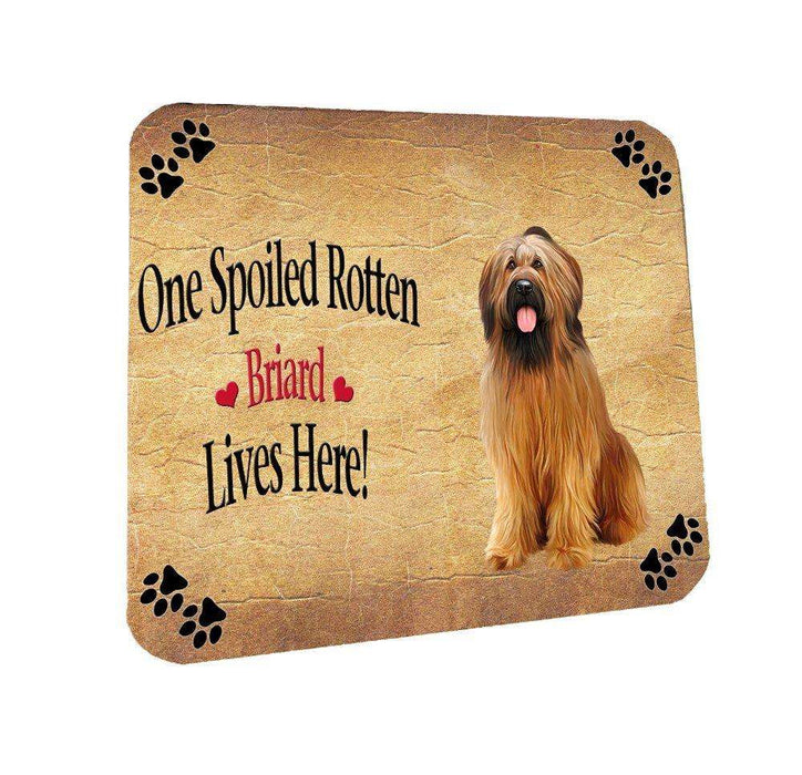 Briard Spoiled Rotten Dog Coasters Set of 4