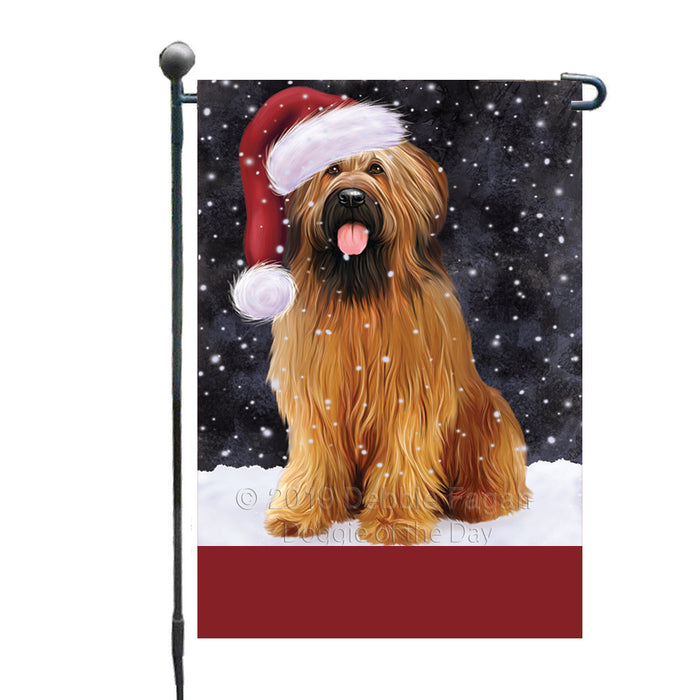 Personalized Let It Snow Happy Holidays Briard Dog Custom Garden Flags GFLG-DOTD-A62284