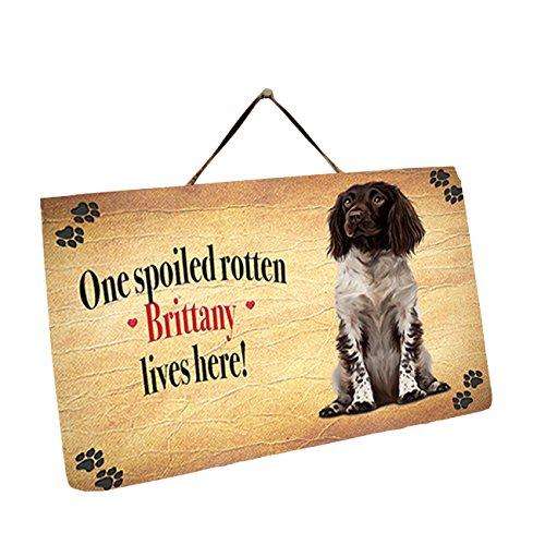 Britany Sitting Dog Wall Décor Hanging Spoiled Rotten Dog Slate