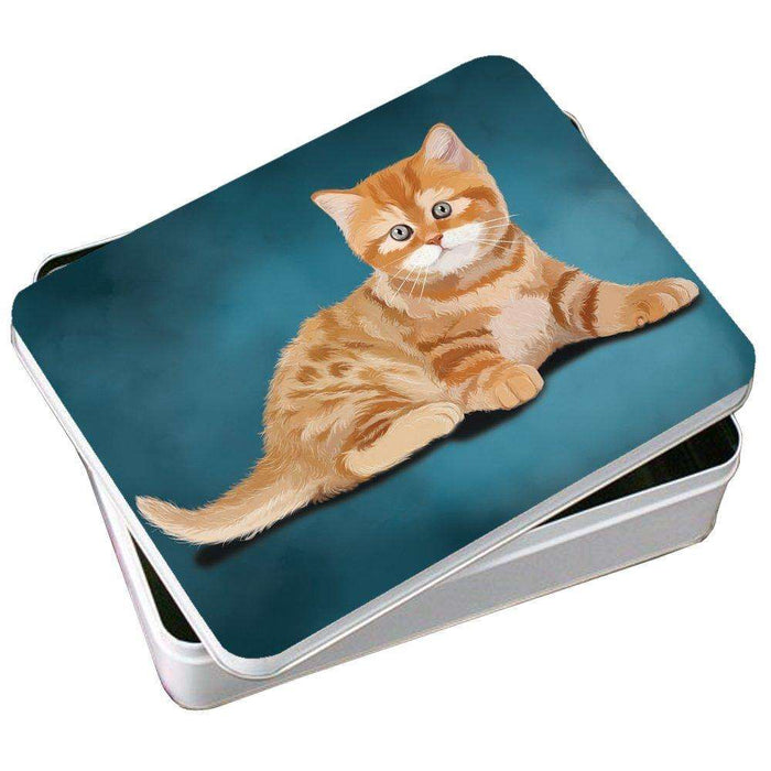 British Orange Kitten Cat Photo Storage Tin