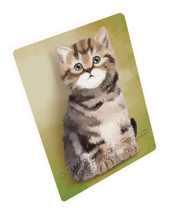 British Shorthair Cat Art Portrait Print Woven Throw Sherpa Plush Fleece Blanket D120