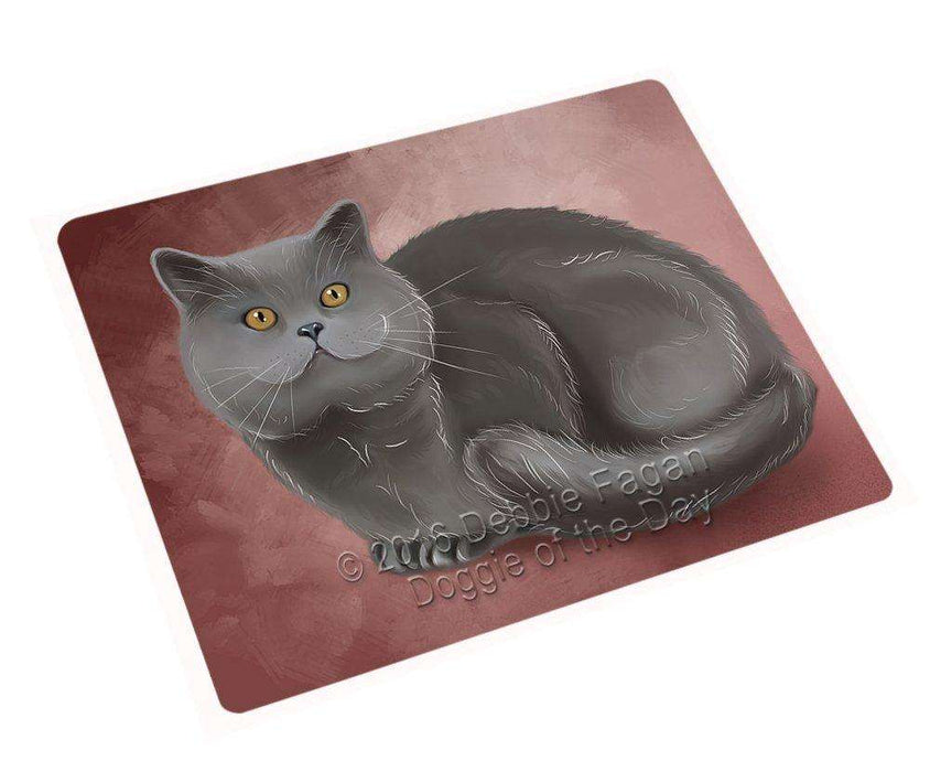 British Shorthair Cat Art Portrait Print Woven Throw Sherpa Plush Fleece Blanket D123