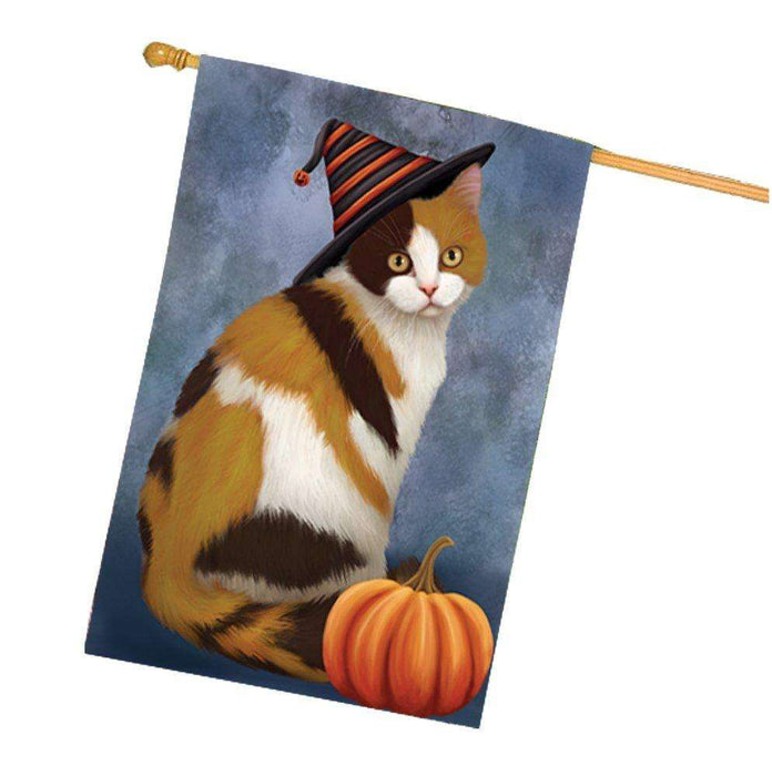 British Shorthair Cat Wearing Witch Hat with Pumpkin House Flag