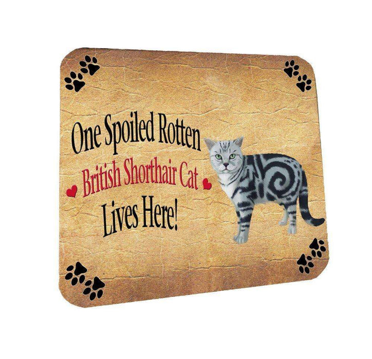 British Shorthair Spoiled Rotten Cat Coasters Set of 4