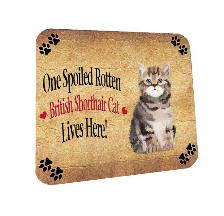 British Shorthair Spoiled Rotten Cat Coasters Set of 4