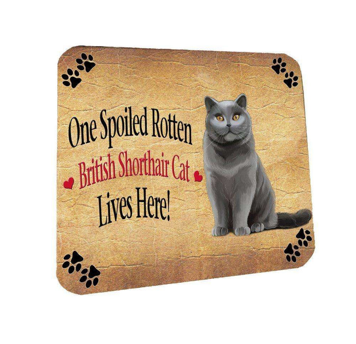 British Shorthair Spoiled Rotten Cat Coasters Set of 4