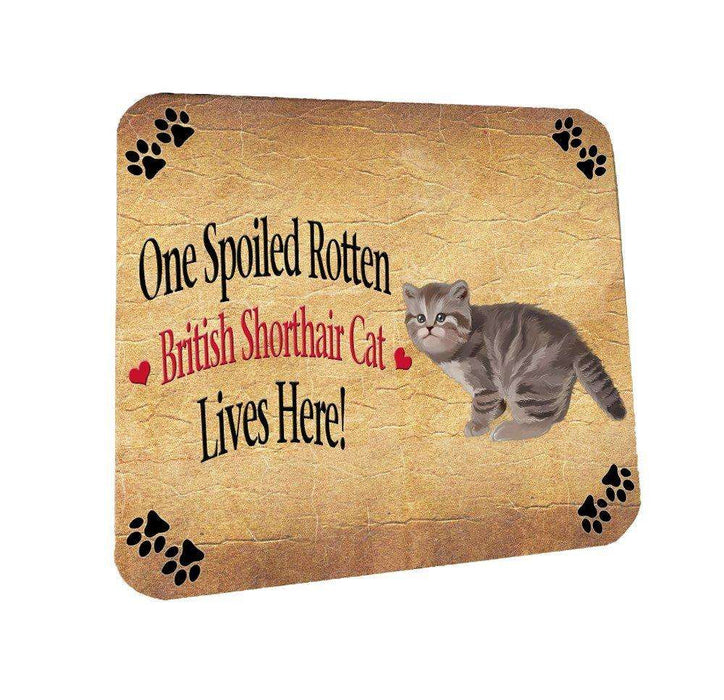 British Shorthair Spoiled Rotten Cat Coasters Set of 4