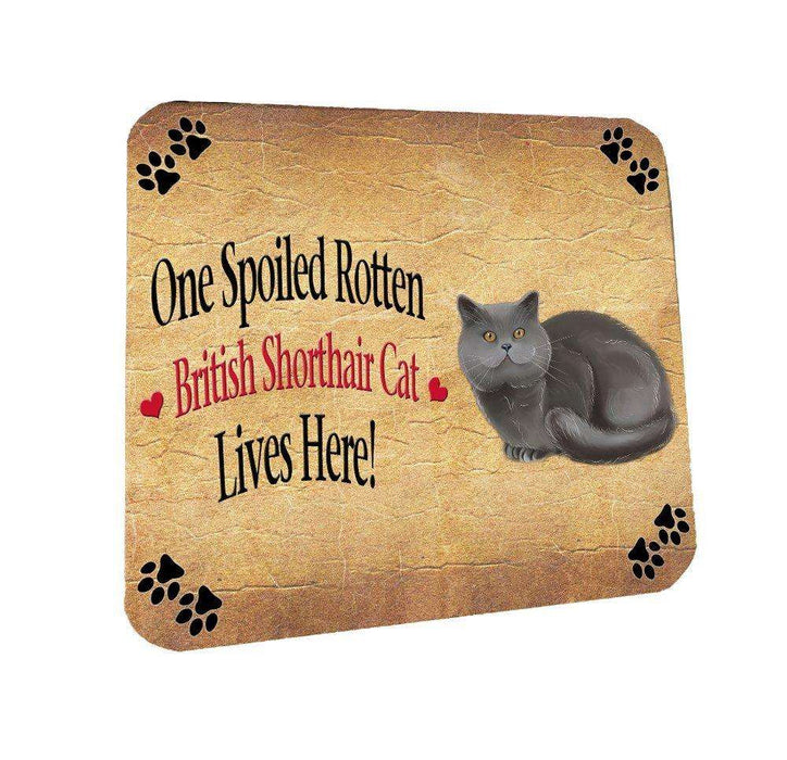 British Shorthair Spoiled Rotten Cat Coasters Set of 4