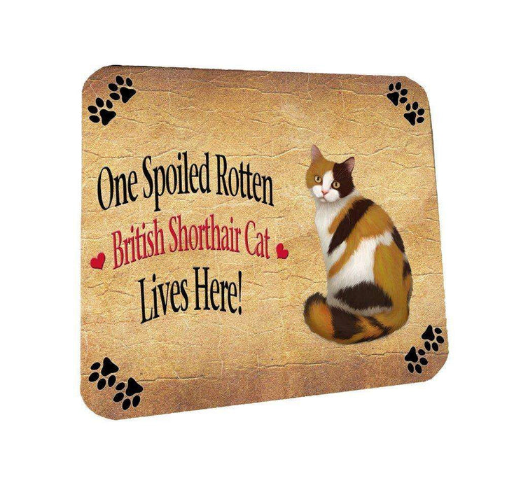 British Shorthair Spoiled Rotten Cat Coasters Set of 4
