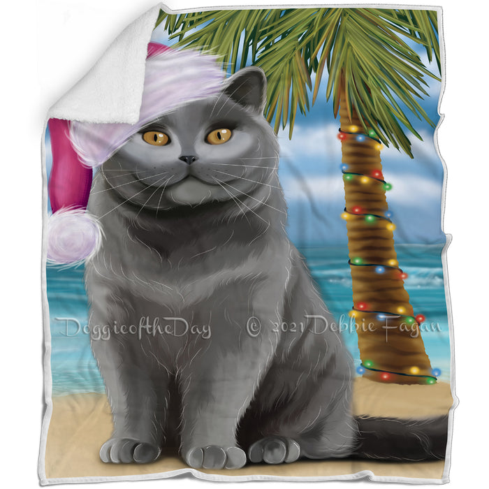 Summertime Happy Holidays Christmas British Shorthair Cat on Tropical Island Beach Blanket