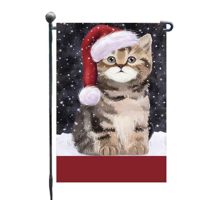Personalized Let It Snow Happy Holidays British Shorthair Cat Custom Garden Flags GFLG-DOTD-A62285