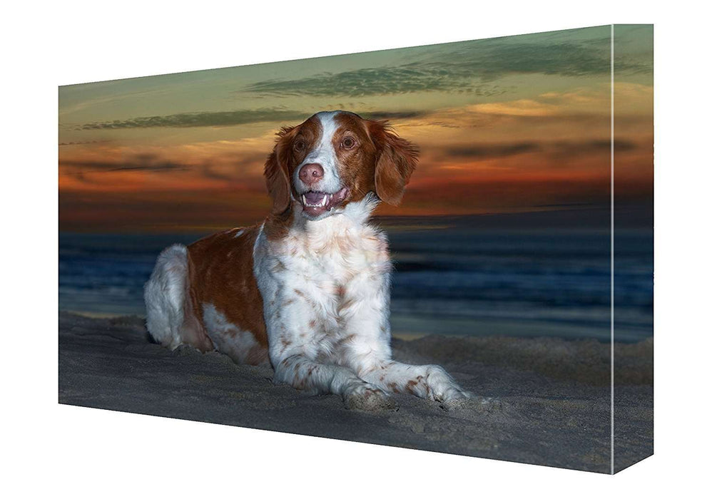 Brittany Spaniel Dog Canvas 18 X 24