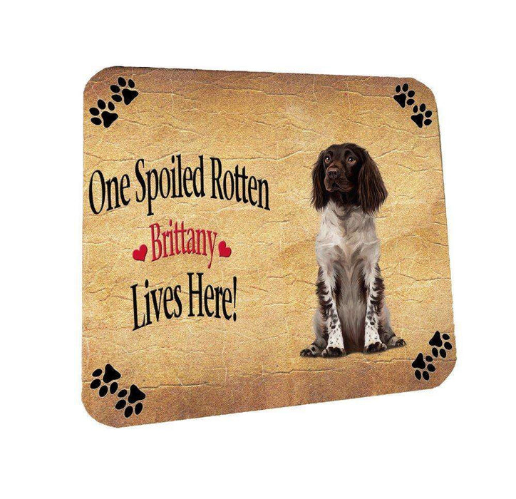 Brittany Spoiled Rotten Dog Coasters Set of 4