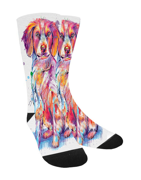 Watercolor Brittany Spaniel Dog Women's Casual Socks