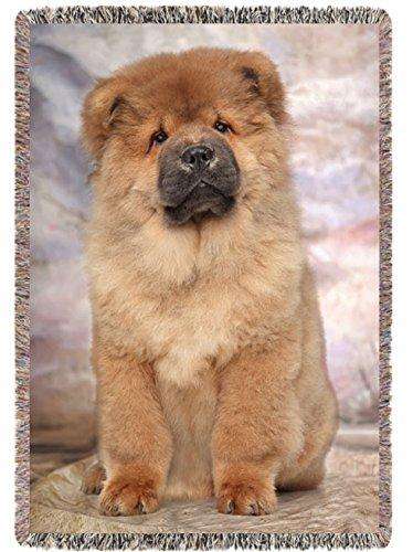 Brown Chow Chow Puppy Dog Woven Throw Blanket 54 x 38