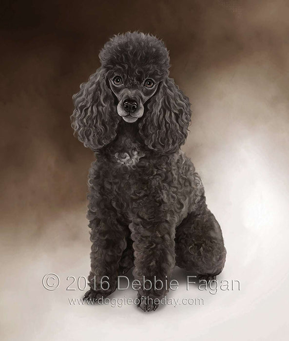 Brown Poodle Dog Art Portrait Print Woven Throw Sherpa Plush Fleece Blanket
